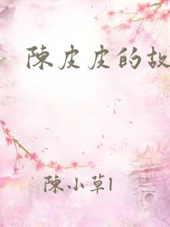 陈皮皮的故事