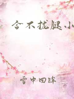 合不拢腿小说