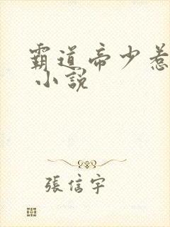 霸道帝少惹不得 小说