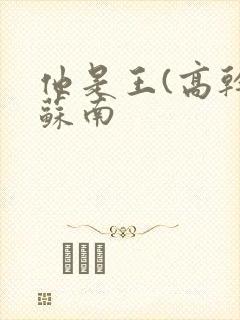 他是王(高干)苏南