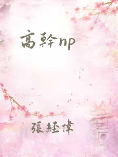 高干np