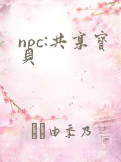 npc:共享宝贝