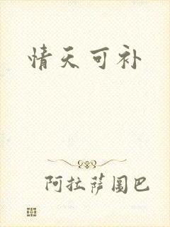 情天可补