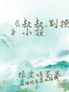 《叔叔,别撩我》小说
