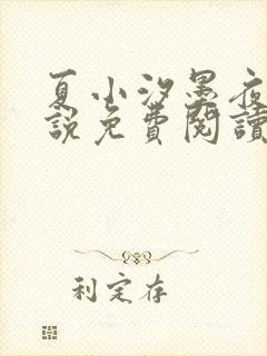 夏小汐墨夜霆小说免费阅读