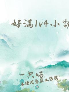 好满1v4小说