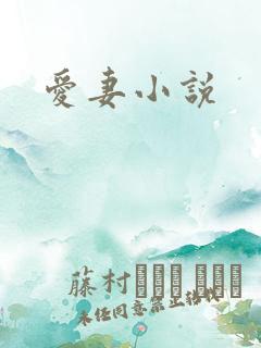 爱妻小说