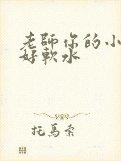 老师你的小兔子好软水