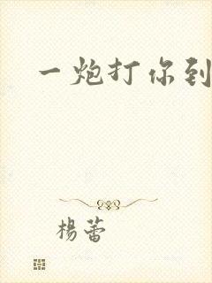 一炮打你到天亮