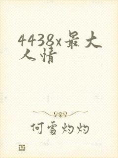 4438x最大人情