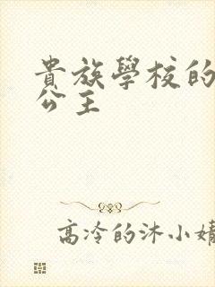 贵族学校的双面公主