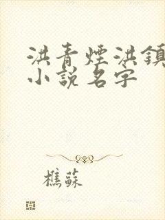 洪青烟洪镇国的小说名字