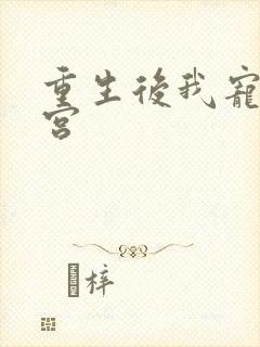 重生后我宠冠东宫