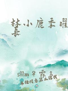 林小鹿季曜珉机长