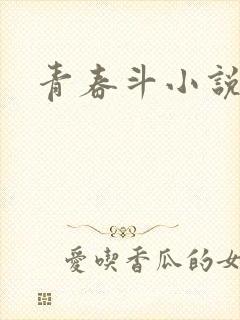 青春斗小说