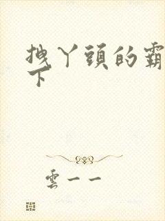 拽丫头的霸道殿下