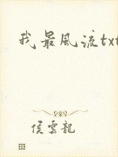 我最风流txt