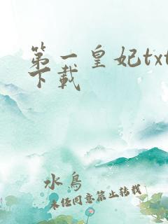 第一皇妃txt下载
