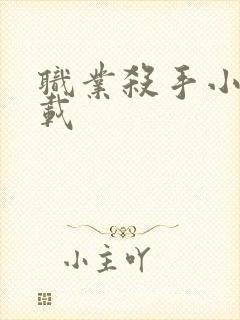 职业杀手小说下载