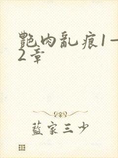 艳肉乱痕1—12章