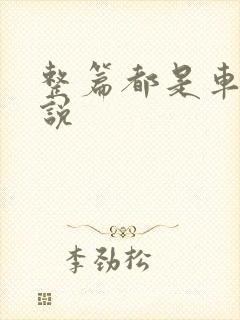 整篇都是车的小说