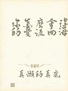 你怎么舍得让我的爱流向海