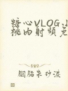 糖心VLOG小桃内射频免费