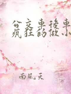 公交车后车座的疯狂的做小