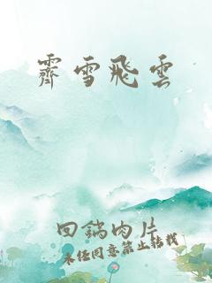 霁雪飞云
