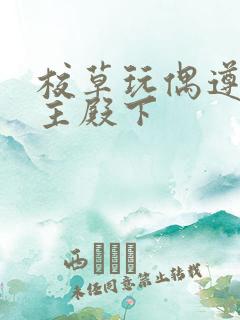 校草玩偶遵命公主殿下