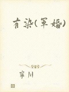 有染(军婚)