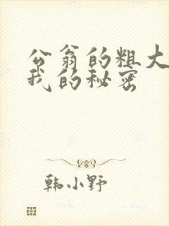 公翁的粗大放进我的秘密