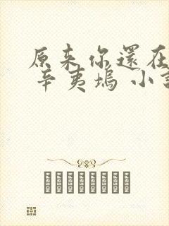 原来你还在这里 辛夷坞 小说