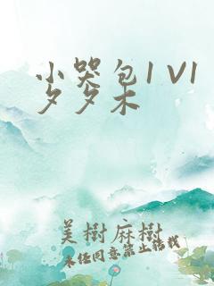 小哭包1 V1夕夕木