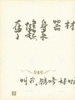 在健身器材上做了起来