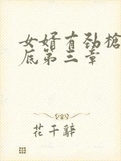 女婿有劲枪枪到底第三章