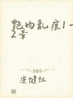 艳肉乱痕1一12章