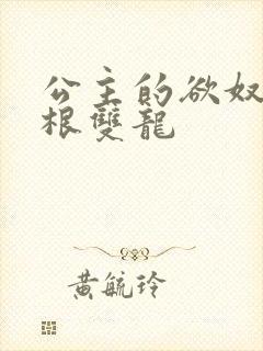 公主的欲奴h四根双龙