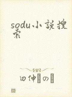sodu小说搜索