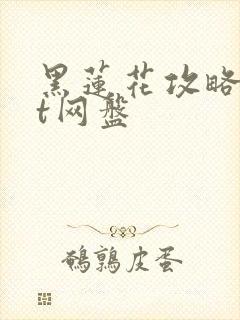 黑莲花攻略txt网盘