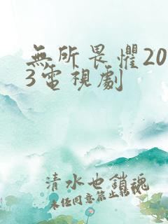 无所畏惧2023电视剧