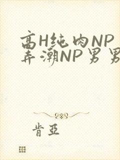 高H纯肉NP 弄潮NP男男