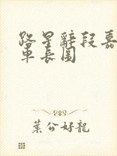 路星辞段嘉衍肉车长图