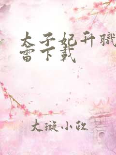 太子妃升职记迅雷下载