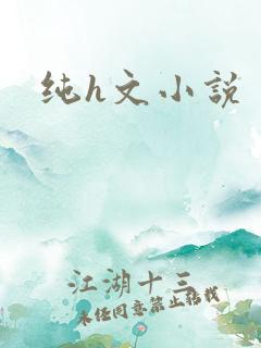 纯h文小说