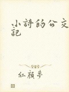 小诗的公交车日记