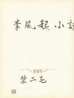 李风起 小说