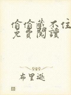 偷偷藏不住小说免费阅读