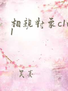 相亲对象c1v1