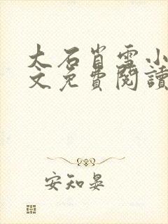 大石肖雪小说全文免费阅读